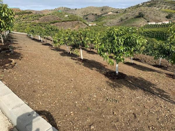 Terreno en Camino Viejo de Málaga