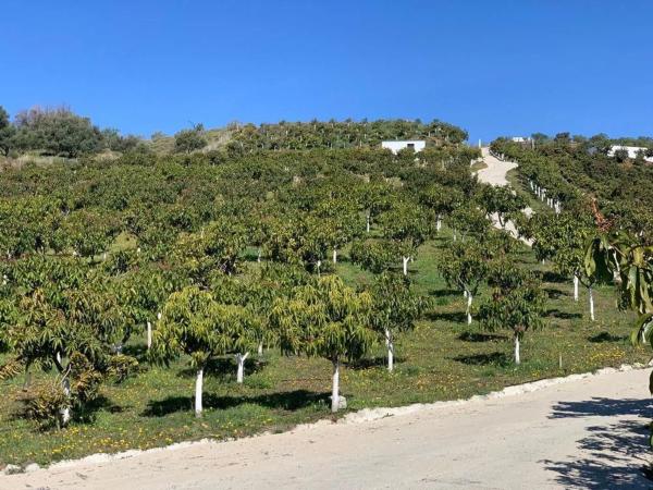 Terreno en Camino Viejo de Málaga