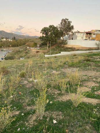 Terreno en calle Benavente s/n