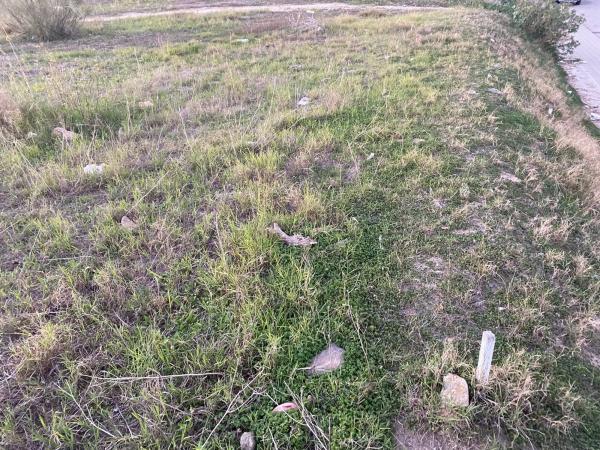 Terreno en calle Benavente s/n