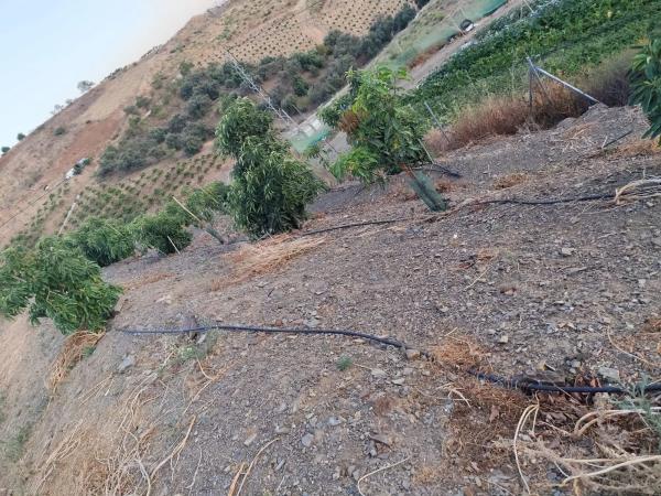 Terreno en Camino Viejo de Málaga