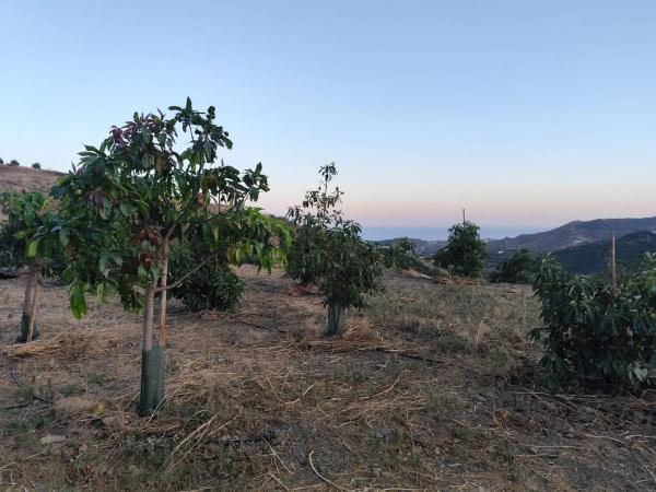 Terreno en Camino Viejo de Málaga