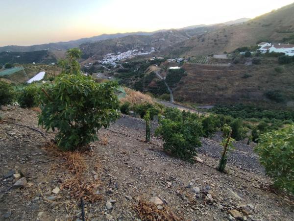 Terreno en Camino Viejo de Málaga