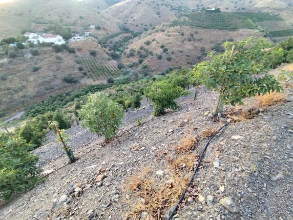 Terreno en Camino Viejo de Málaga