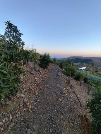 Terreno en Camino Viejo de Málaga