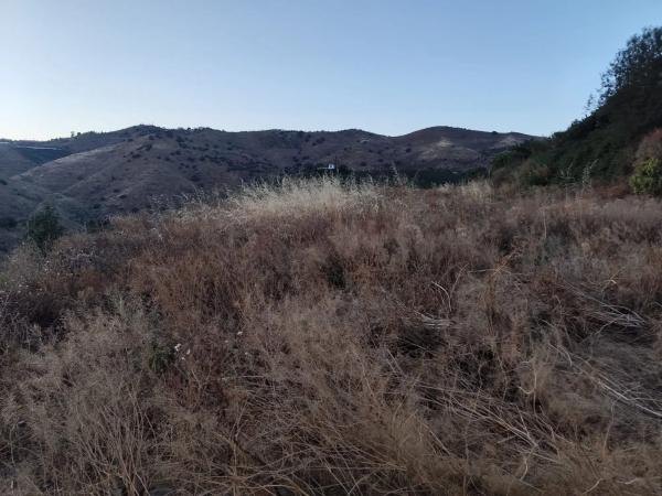 Terreno en Camino Viejo de Málaga