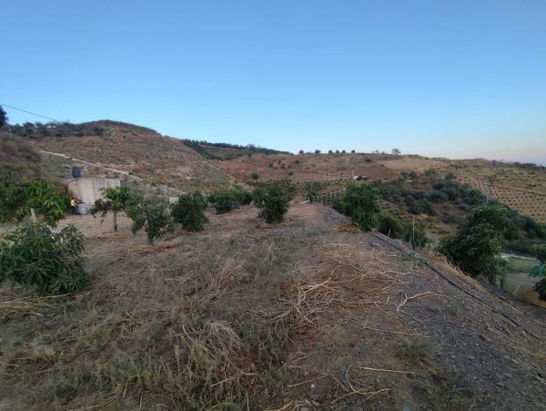 Terreno en Camino Viejo de Málaga