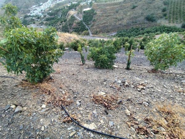 Terreno en Camino Viejo de Málaga
