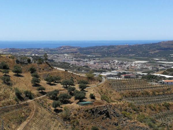Terreno en Real Alto, Polígono 10, 33 Parcela 33
