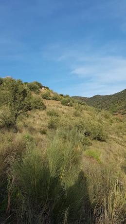 Terreno en Real Alto, Polígono 10, 33 Parcela 33