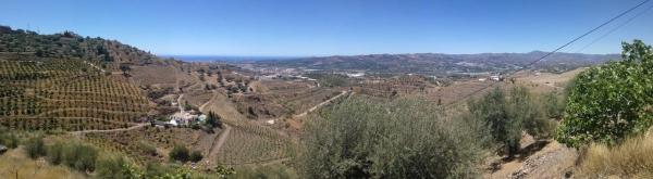 Terreno en Real Alto, Polígono 10, 33 Parcela 33