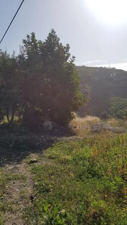 Terreno en Real Alto, Polígono 10, 33 Parcela 33