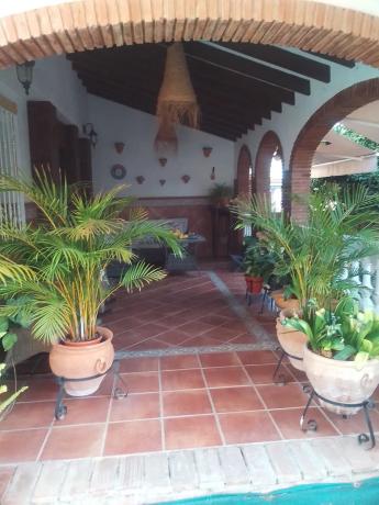 Terreno en calle Nogal, 6