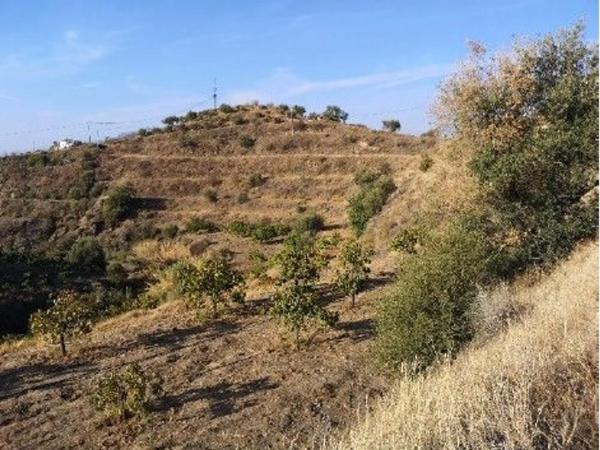 Terreno en alto Diseminado Real, 9 Poligono