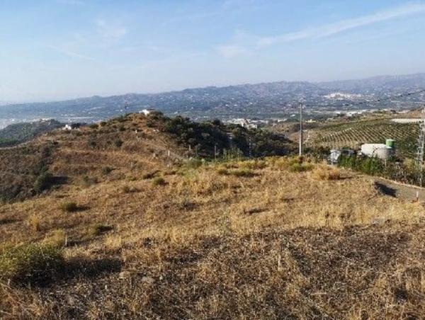 Terreno en alto Diseminado Real, 9 Poligono