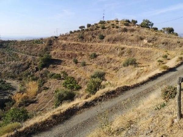 Terreno en alto Diseminado Real, 9 Poligono
