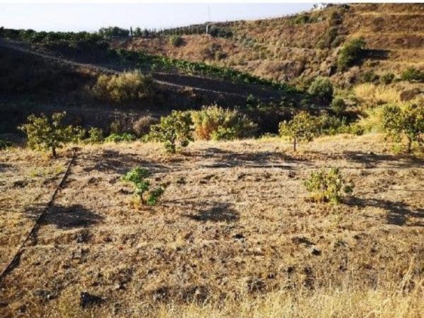 Terreno en alto Diseminado Real, 9 Poligono