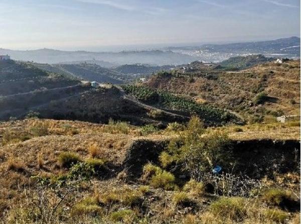 Terreno en alto Diseminado Real, 9 Poligono