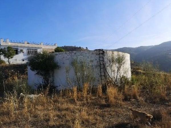 Terreno en alto Diseminado Real, 9 Poligono