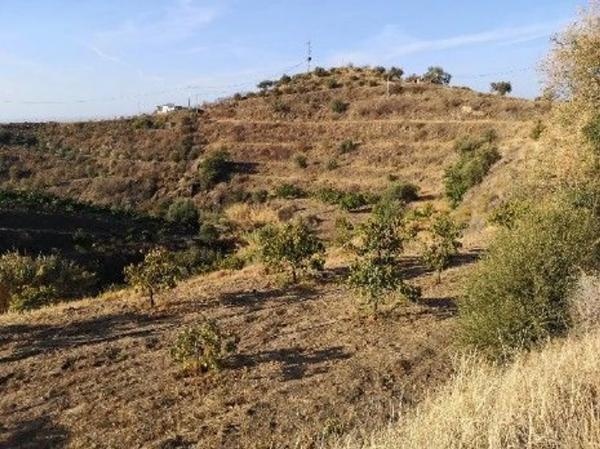 Terreno en alto Diseminado Real, 9 Poligono