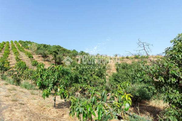 Terreno en Norte - Barrio del Pilar - El Reñidero