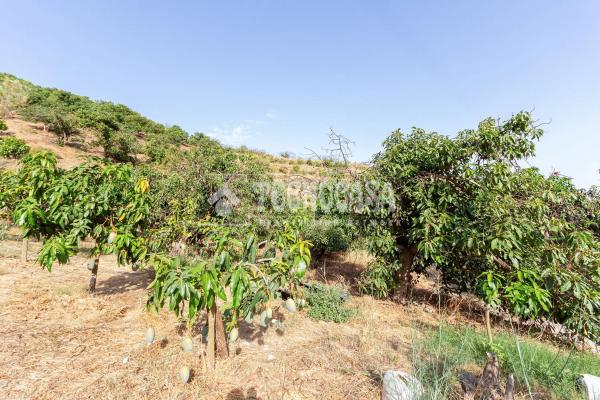 Terreno en Norte - Barrio del Pilar - El Reñidero