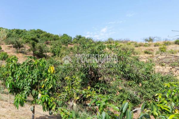 Terreno en Norte - Barrio del Pilar - El Reñidero