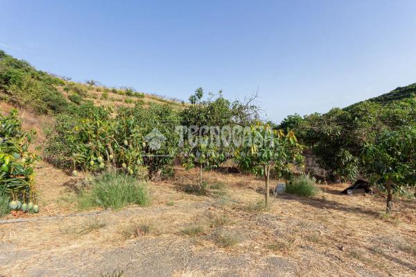 Terreno en Norte - Barrio del Pilar - El Reñidero