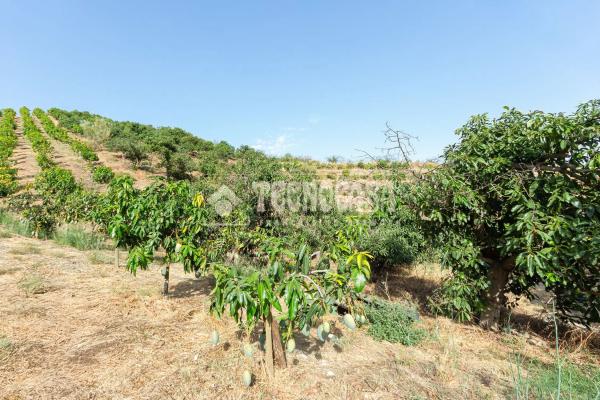 Terreno en Norte - Barrio del Pilar - El Reñidero