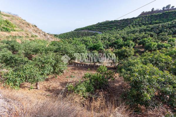 Terreno en Norte - Barrio del Pilar - El Reñidero