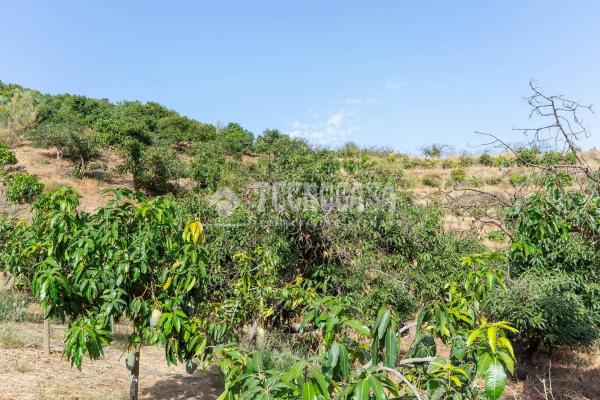 Terreno en Norte - Barrio del Pilar - El Reñidero