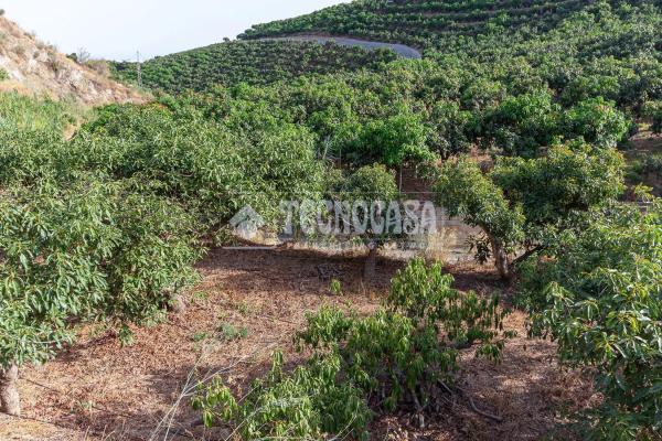 Terreno en Norte - Barrio del Pilar - El Reñidero
