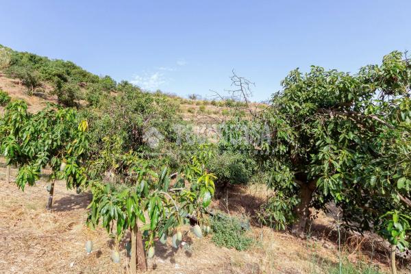 Terreno en Norte - Barrio del Pilar - El Reñidero