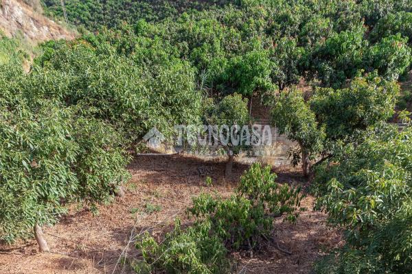 Terreno en Norte - Barrio del Pilar - El Reñidero