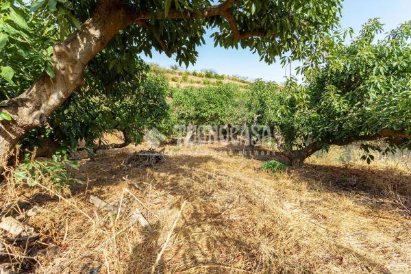 Terreno en Norte - Barrio del Pilar - El Reñidero