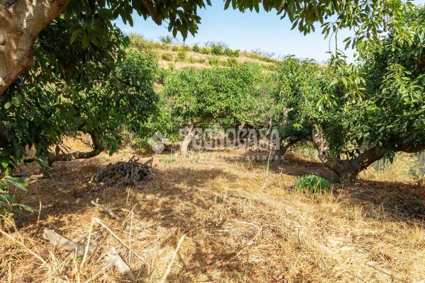Terreno en Norte - Barrio del Pilar - El Reñidero