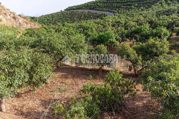 Terreno en Norte - Barrio del Pilar - El Reñidero