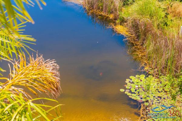 Terreno en Altos de Estepona