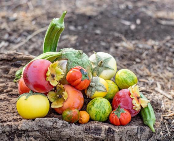 Terreno en Altos de Estepona