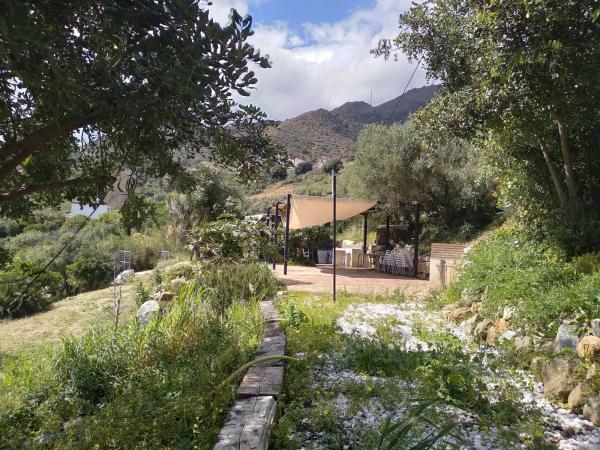 Terreno en Diseminado Pedregales, 65