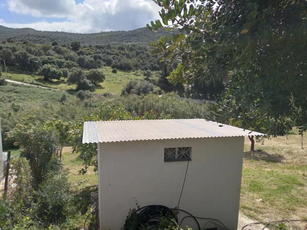 Terreno en Diseminado Pedregales, 65