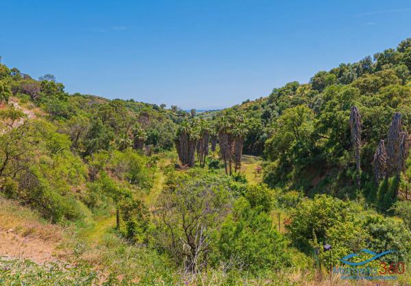 Terreno en Altos de Estepona