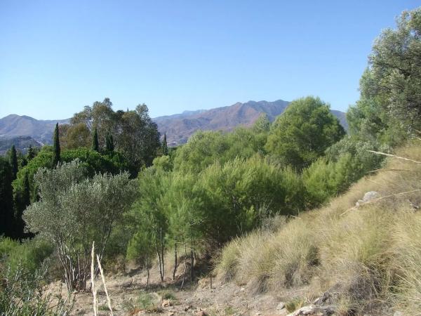 Terreno en Urbanización Valtocado
