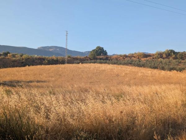 Terreno en carretera A-356, 9