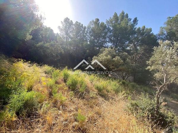 Terreno en Frigiliana