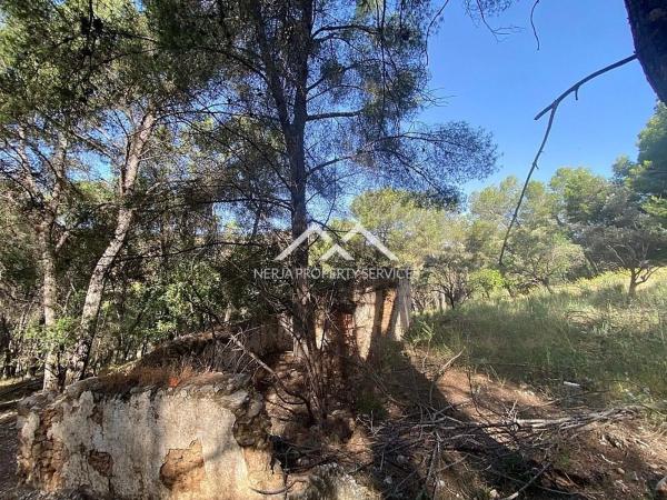 Terreno en Frigiliana