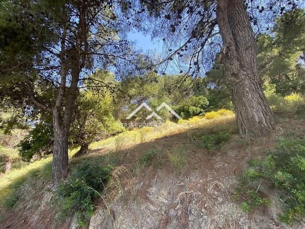 Terreno en Frigiliana