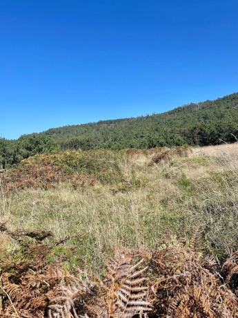 Terreno en Coba Abaixo s/n