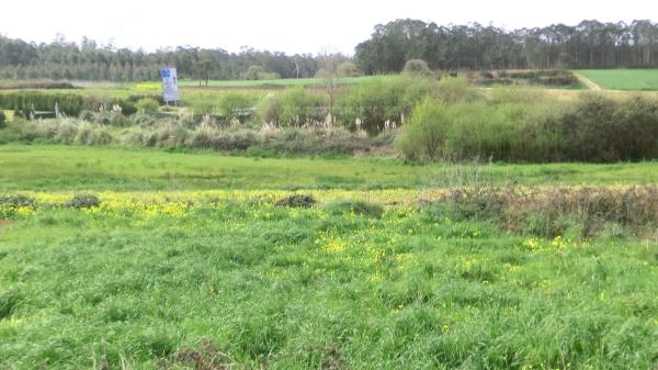 Terreno en Seixas-Vilarnovo, 414 Ac