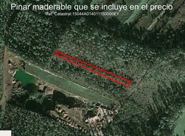 Terreno en Seixas-Vilarnovo, 414 Ac